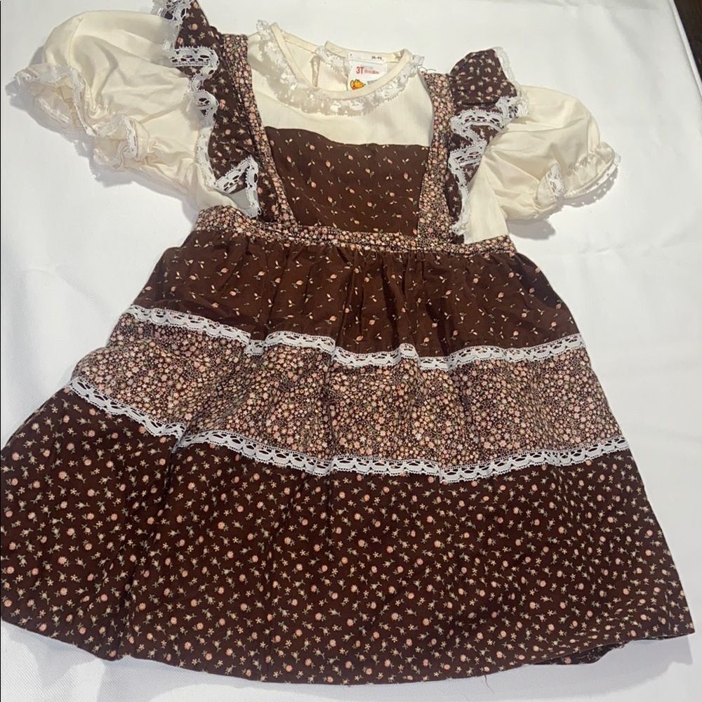 Vintage Winnie the Pooh x Sears Robuck Brown floral dress 70’s 3T
